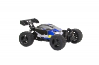 Buggy twenty4 B - 4WD RTR Modellauto, schwarz/blaue Karosserie